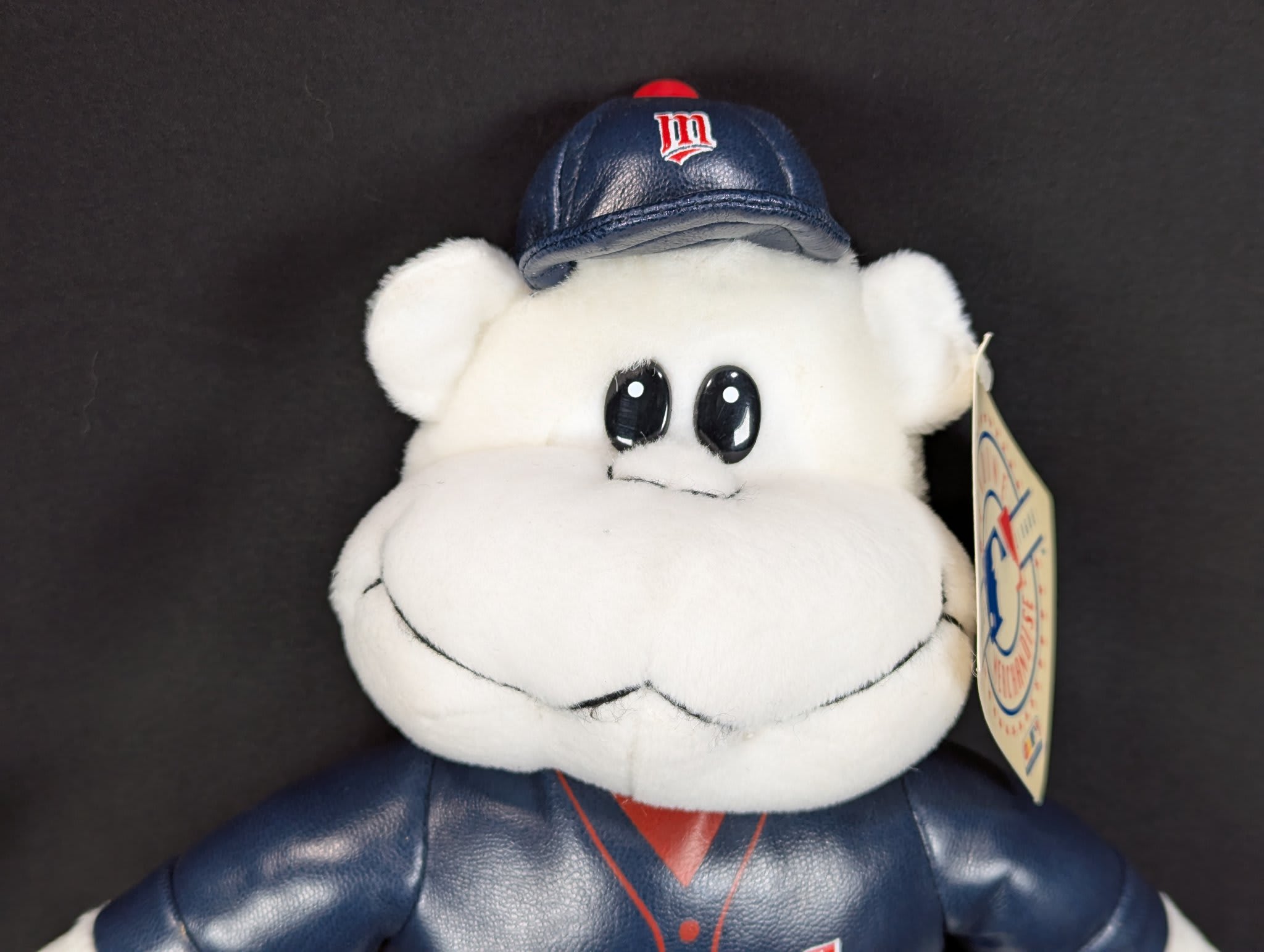 Vintage 1990s Nanco Minnesota Twins Plush Bear MLB Genuine Merchandise Tagged - Image 2