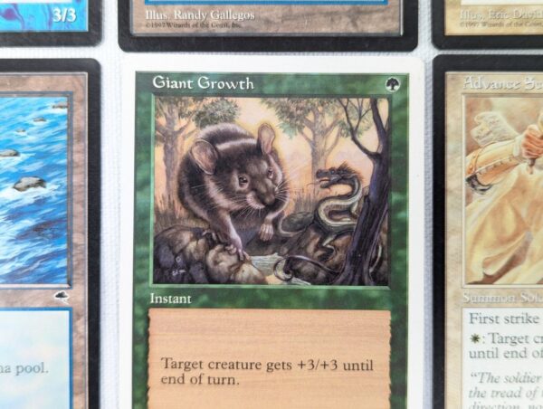 MTG Magic Card Lot of 20 Vintage 1997 Tempest Era Cards SKU IC0A7F9