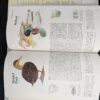 Reader's Digest Book of North American Birds Illustrated