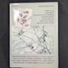 Painting Birds Susan Rayfield Dust Jacket Hardcover 1988