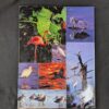 10-1414.jpg Florida's Fabulous Waterbirds: Their Stories by Winston Williams 1983