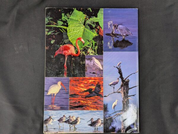10-1414.jpg Florida's Fabulous Waterbirds: Their Stories by Winston Williams 1983