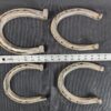 Set of Four Metal Horseshoes with Calks Equestrian Hardware Silver Tone Decor...
