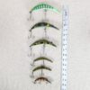 10-2100.jpg Vintage Yakima Worden Flatfish Style Lure Lot of 6 T55 T50 T25 U20 Pike Muskie