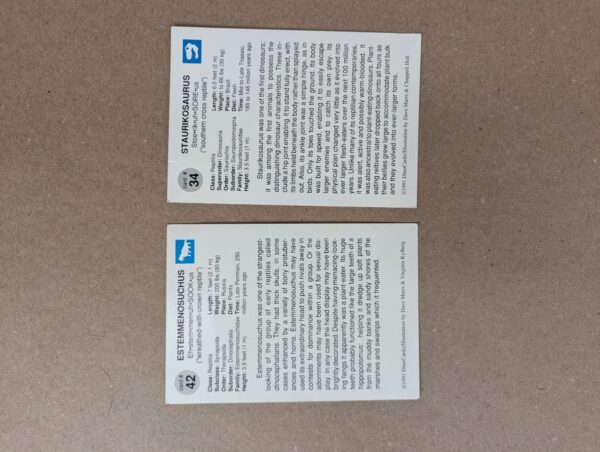 1991 DinoCardz Trading Cards #34 Staurikosaurus and #42 Estemmenosuchus Set of 2