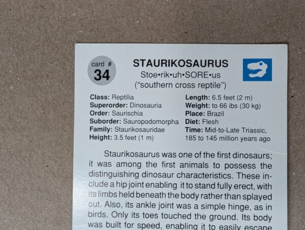 1991 DinoCardz Trading Cards #34 Staurikosaurus and #42 Estemmenosuchus Set of 2