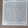 1991 DinoCardz Trading Cards #34 Staurikosaurus and #42 Estemmenosuchus Set of 2