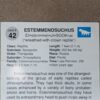 1991 DinoCardz Trading Cards #34 Staurikosaurus and #42 Estemmenosuchus Set of 2