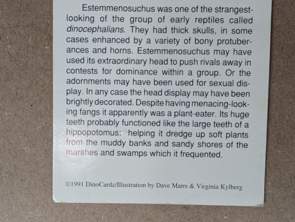 1991 DinoCardz Trading Cards #34 Staurikosaurus and #42 Estemmenosuchus Set of 2