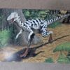1991 DinoCardz Trading Cards #34 Staurikosaurus and #42 Estemmenosuchus Set of 2