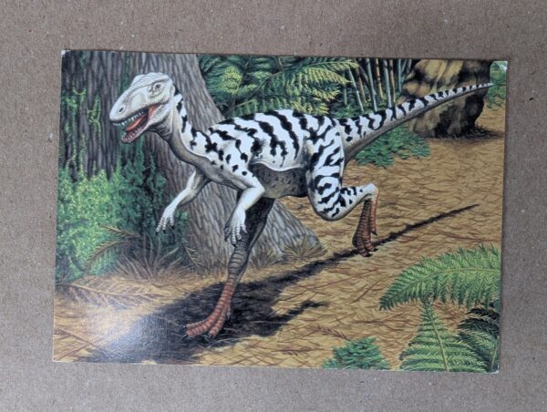 1991 DinoCardz Trading Cards #34 Staurikosaurus and #42 Estemmenosuchus Set of 2