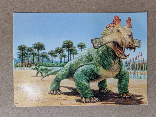 1991 DinoCardz Trading Cards #34 Staurikosaurus and #42 Estemmenosuchus Set of 2