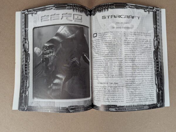 10-2335.jpg 1998 Blizzard Entertainment StarCraft PC Game Instruction Manual Vintage Gaming