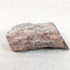 Polished End Piece Of Petrified Wood 80mm 285g Light Red Brown