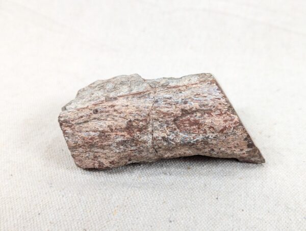 Polished End Piece Of Petrified Wood 80mm 285g Light Red Brown