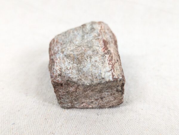 Polished End Piece Of Petrified Wood 80mm 285g Light Red Brown