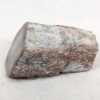 Polished End Piece Of Petrified Wood 80mm 285g Light Red Brown