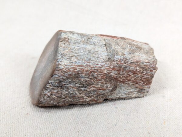Polished End Piece Of Petrified Wood 80mm 285g Light Red Brown