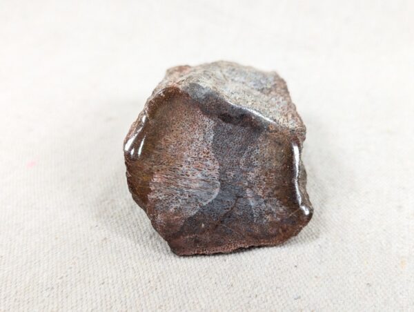 Polished End Piece Of Petrified Wood 80mm 285g Light Red Brown
