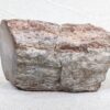Polished End Piece Of Petrified Wood 80mm 285g Light Red Brown