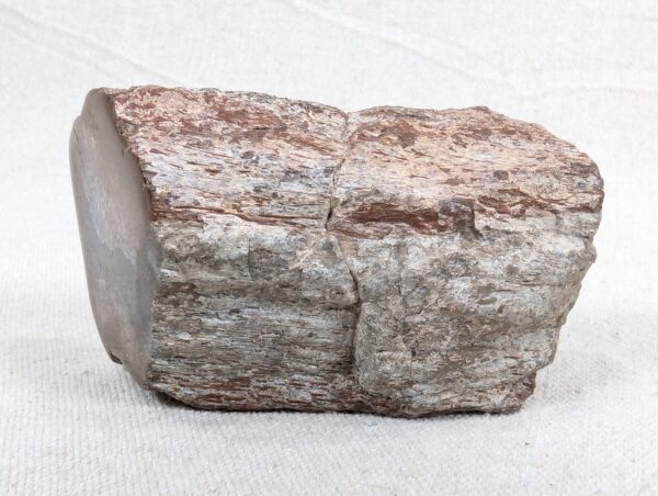 Polished End Piece Of Petrified Wood 80mm 285g Light Red Brown