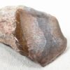 Polished End Piece Of Petrified Wood 80mm 285g Light Red Brown
