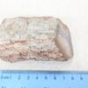 Polished End Piece Of Petrified Wood 80mm 285g Light Red Brown