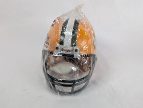 Green Bay Packers Fan Gear Lot Riddell Mini Helmet Snack Bowl Cup Collectible