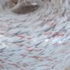 Gallagher Turbo Equi-Braid Electric Fencing Rope 200m G62174 9 Mixed Metal Wires