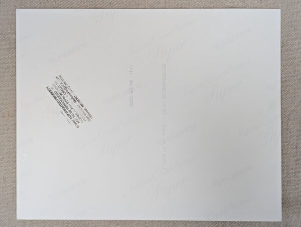 Vintage-Style Motorcycle Flat Track Racing Photograph Print 2008 Dan Mahony M...