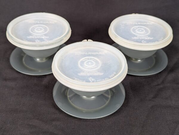 10-4187.jpg Vintage Tupperware Pedestal Dessert Sherbet Bowls with Lids Set of 3 Mid-Century