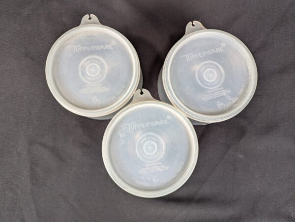 10-4192.jpg Vintage Tupperware Pedestal Dessert Sherbet Bowls with Lids Set of 3 Mid-Century