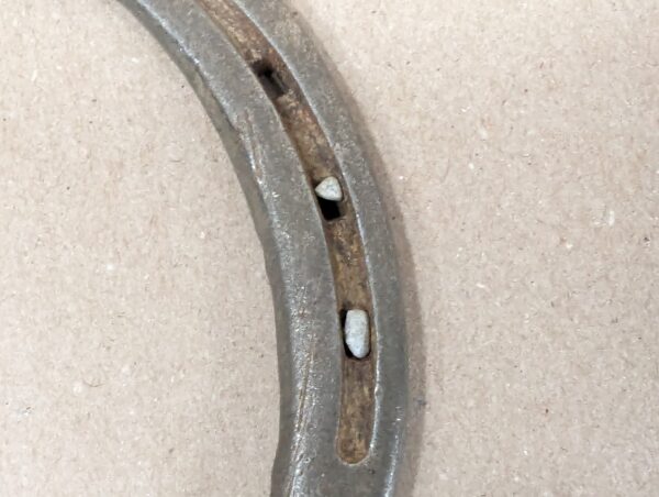 St. Croix Forge 0 Lite Steel Horseshoe Farrier Equipment Metallic Grey Size 0