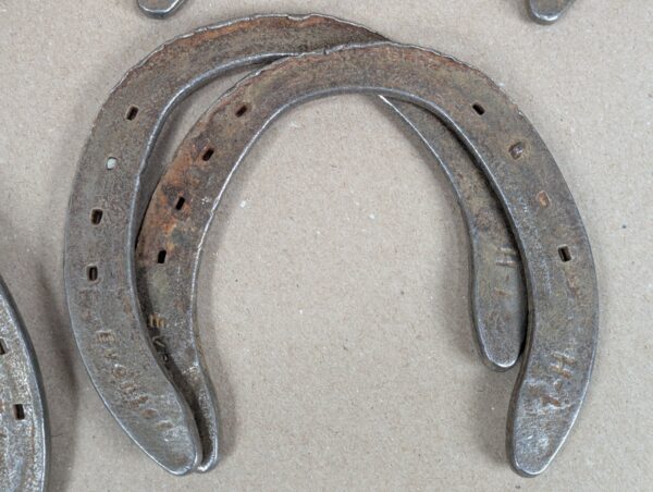 Pick a Shoe St. Croix Forge Steel Horseshoes Sizes 0 LITE 1 LITE 00 Light Sharpe