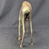 Vintage Brass Deer Figurines Set Standing and Grazing Pair Decorative 12 Inch...