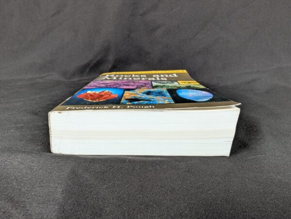 Peterson Field Guide: Rocks and Minerals 5th Edition 1996 Frederick H. Pough ...
