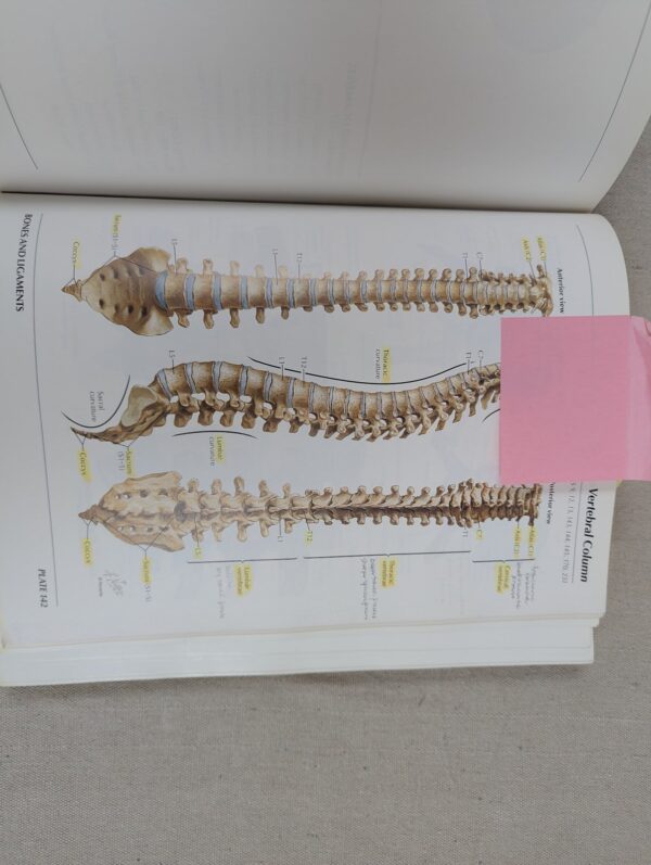 Atlas of Human Anatomy