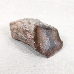 Polished End Piece Of Petrified Wood 80mm 285g Light Red Brown