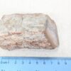 Polished End Piece Of Petrified Wood 80mm 285g Light Red Brown