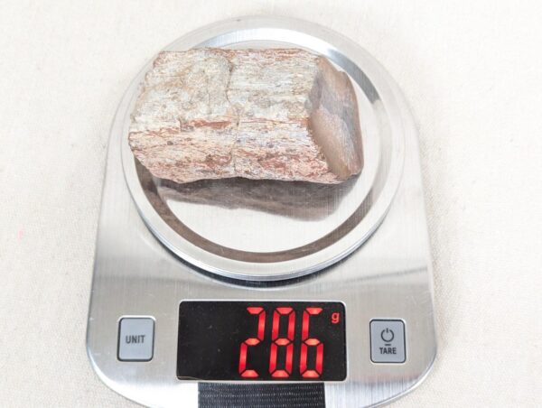 Polished End Piece Of Petrified Wood 80mm 285g Light Red Brown