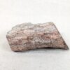 Polished End Piece Of Petrified Wood 80mm 285g Light Red Brown