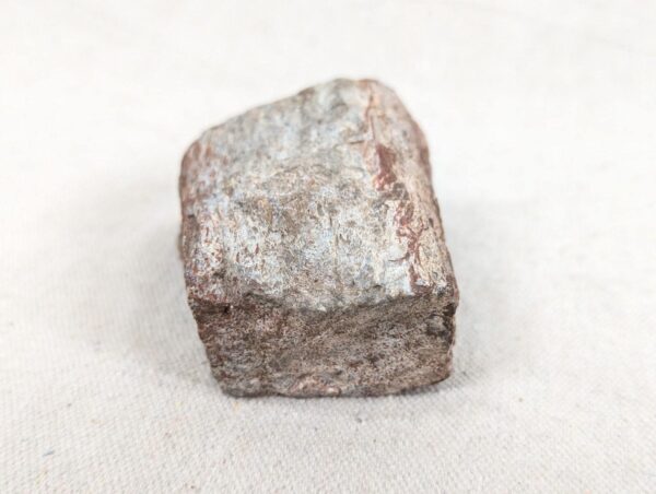 Polished End Piece Of Petrified Wood 80mm 285g Light Red Brown