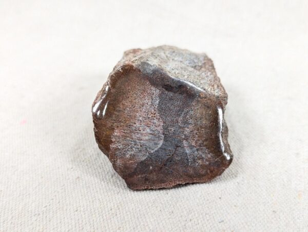 Polished End Piece Of Petrified Wood 80mm 285g Light Red Brown