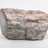 Polished End Piece Of Petrified Wood 80mm 285g Light Red Brown