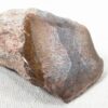 Polished End Piece Of Petrified Wood 80mm 285g Light Red Brown